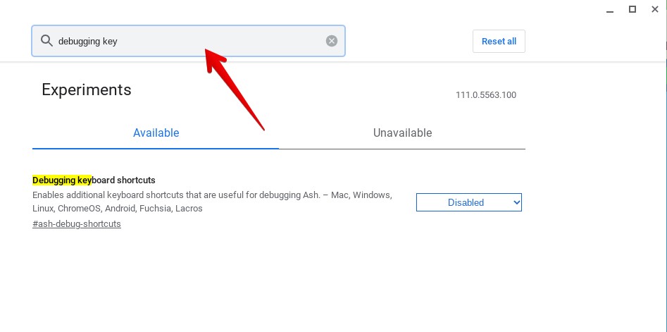 Chromebook Flag Debugging