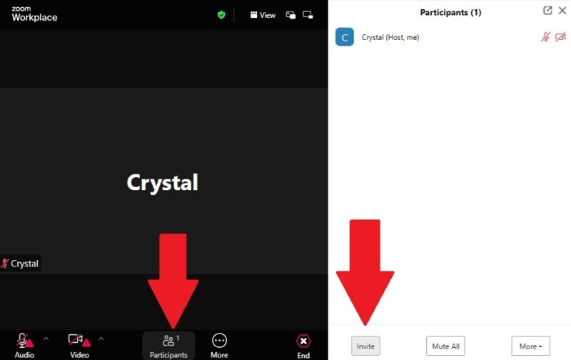 Opening the Participants window in Zoom in the browser.
