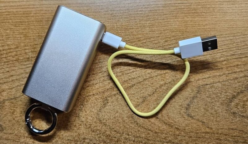 Short USB cable connected to charging case.