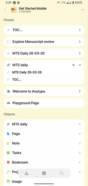Pinned Tabs And Recent Objects