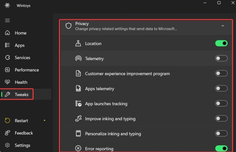 Privacy Toggles Under Tweaks In Wintoys