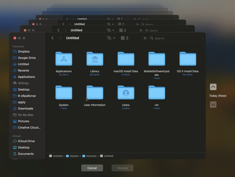 Restore Backup From Time Machine