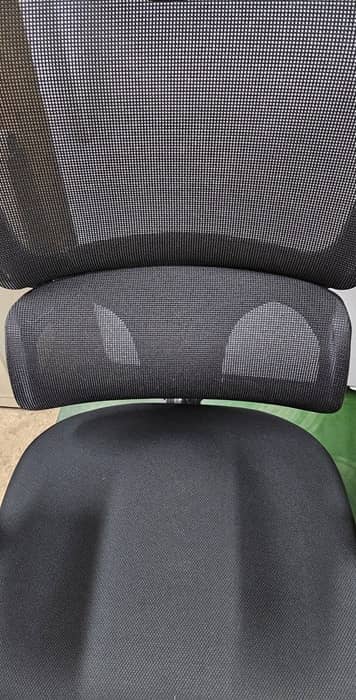 Dynamic lumbar support for lower back.