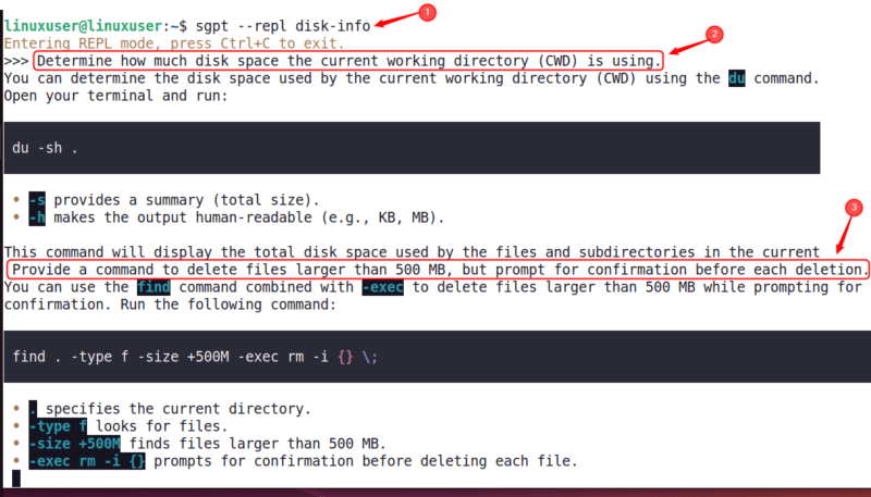Chatting With Shellgpt