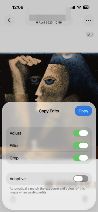 Opting which edits to copy for photo on iPhone. 