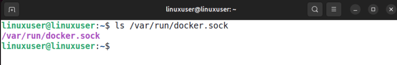 Inspect Docker Unix Socket