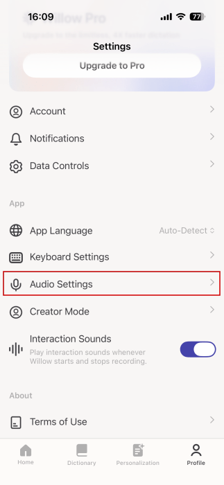 Accessing "Audio Settings" in Willow app on iPhone.